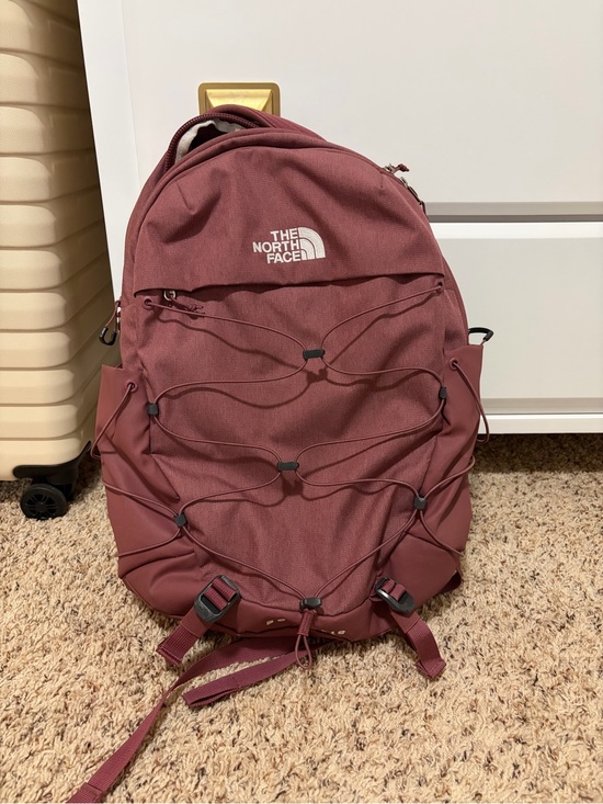 The North Face Handbags - The North Face Borealis Everyday Backpack